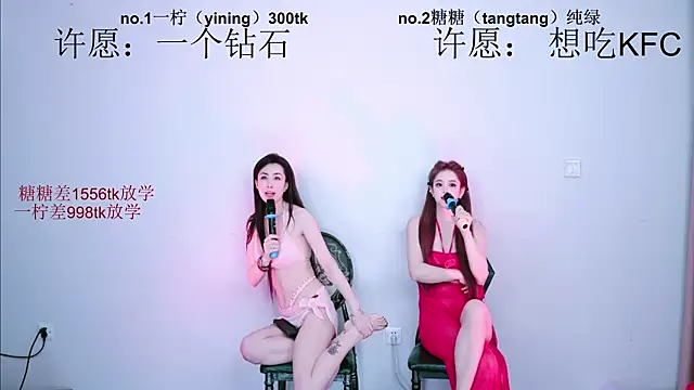 CCTW-100 webcam