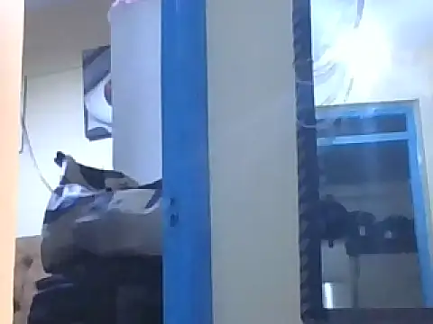 Bootiq webcam