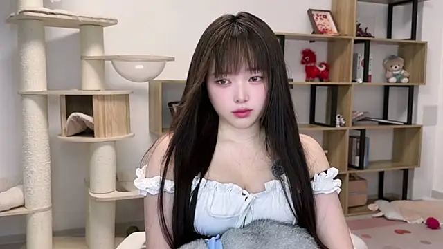 SakuraCat6 webcam