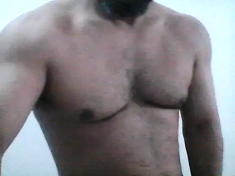 stallony webcam