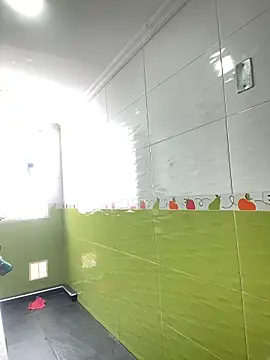 Abby-LS webcam