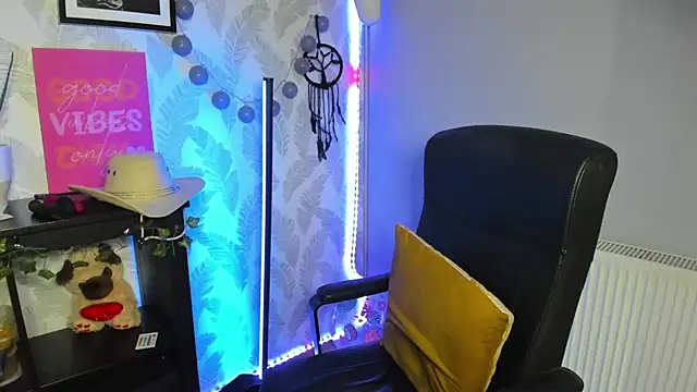 Nova_SIN webcam