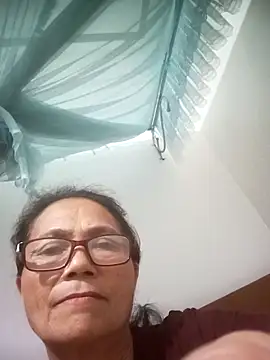 Vieekee webcam