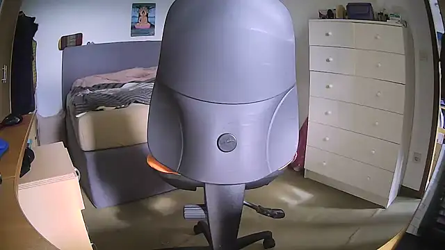 pong_mod_55 webcam