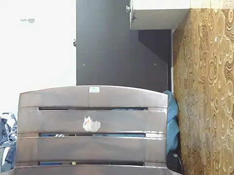 Fuckpussylickass webcam