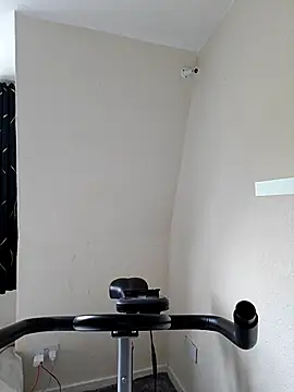 Milky_flexy_cat webcam