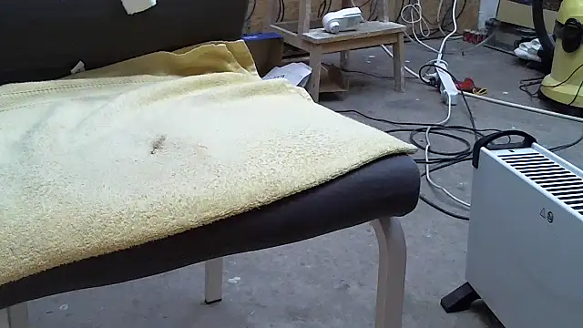 celsior45 webcam