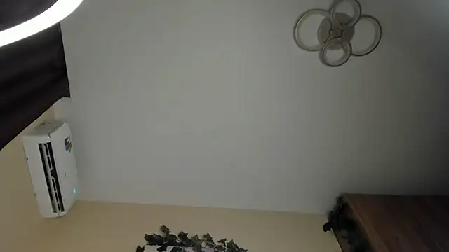 SkyeDavis webcam
