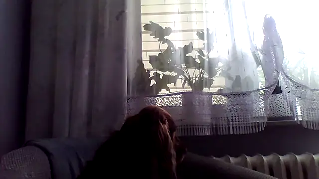 grzes19763 webcam