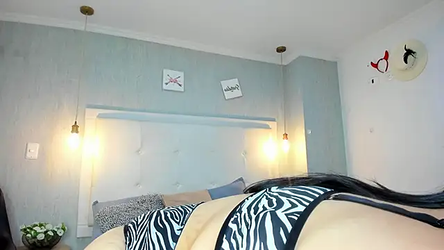 Clarigil webcam