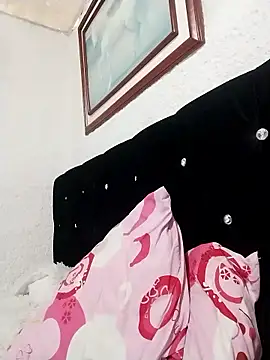 ElizabethWeil webcam