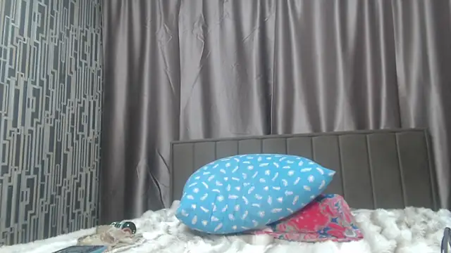 scyrim2 webcam