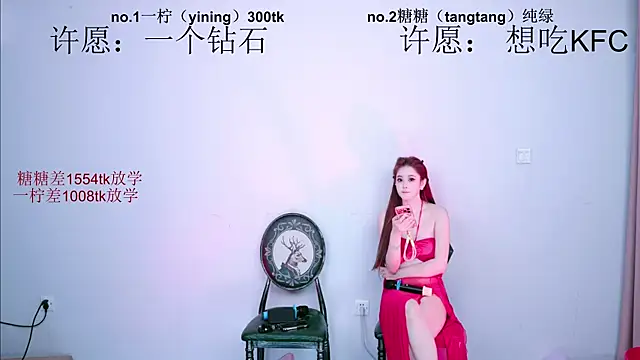 CCTW-100 webcam