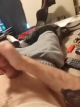 BigD9331 webcam