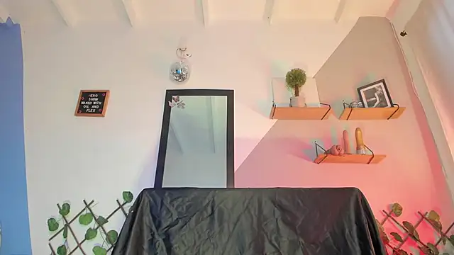 Aria_fitness webcam