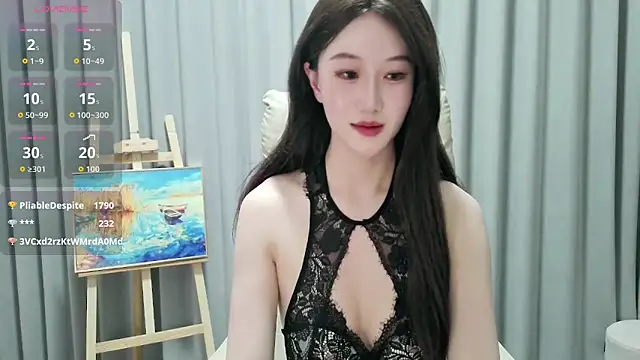 LUNYI-CC webcam