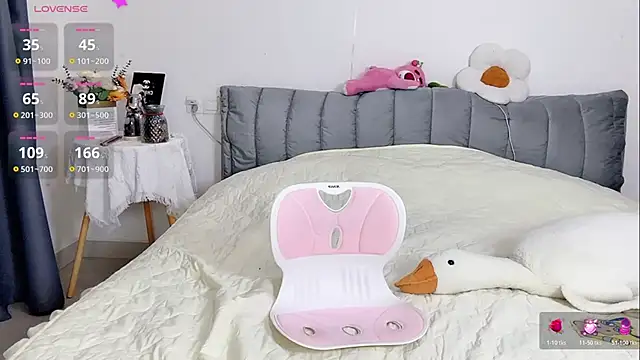 Niveas_ webcam