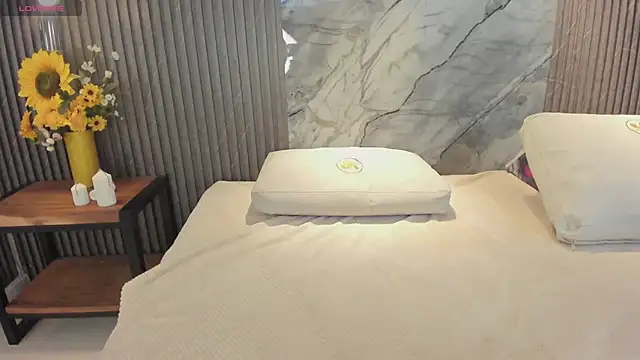 hanna_steel webcam