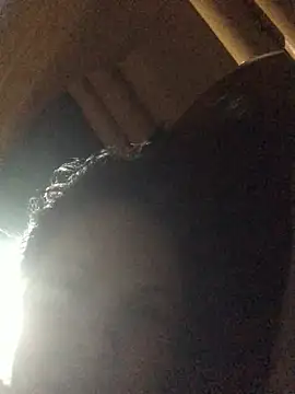 nidejiejie webcam