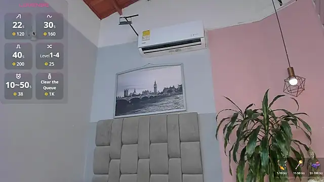 dyvis_22 webcam