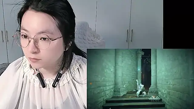 Eeya-36 webcam
