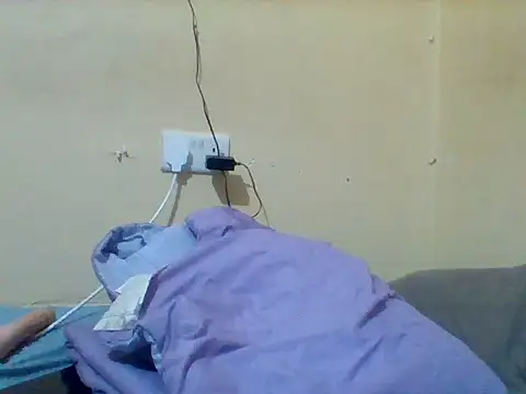 PrimBee webcam