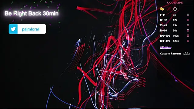 PalmLora1 webcam