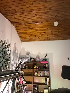NikkiNix webcam