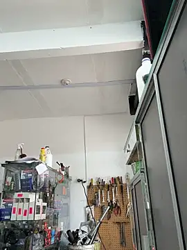 Paul22cm- webcam