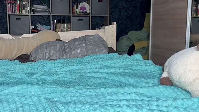 AzureEyes webcam