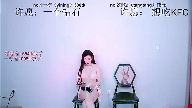 CCTW-100 webcam