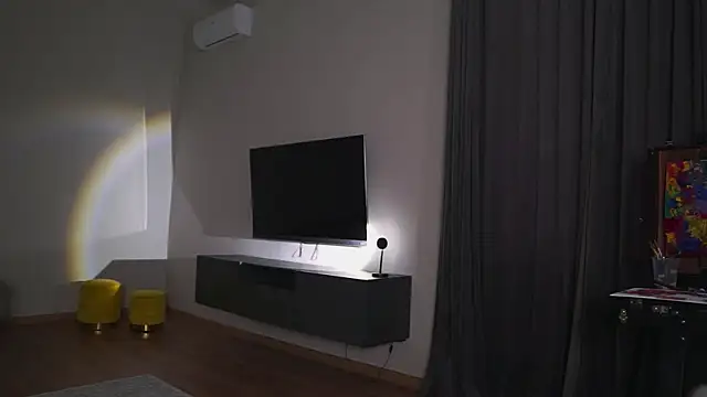 AdaBell webcam