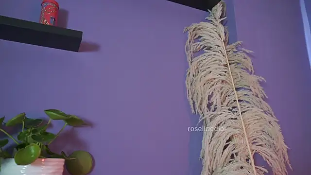roselinedior webcam