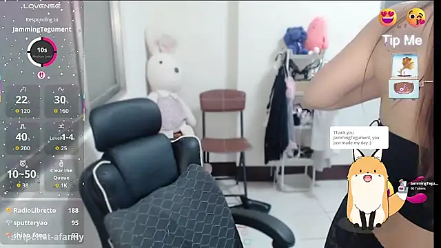 aFanny webcam
