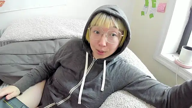luxgray webcam