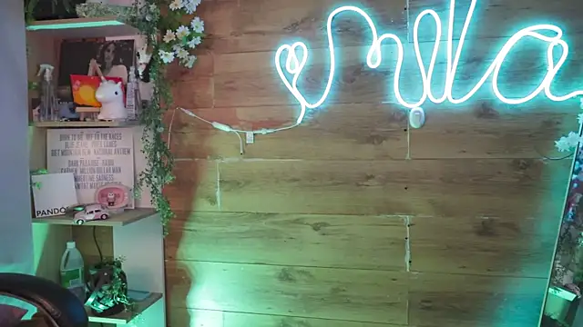 Miila_snow webcam