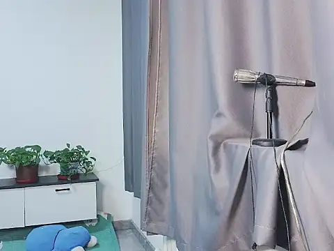 Llpl322 webcam