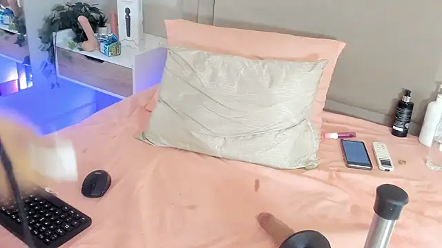 Liastarkk webcam
