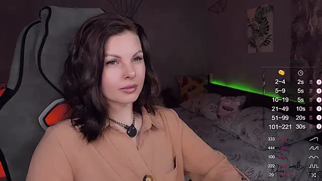 Alaska_ya webcam