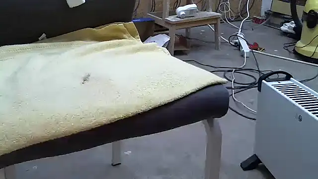 celsior45 webcam