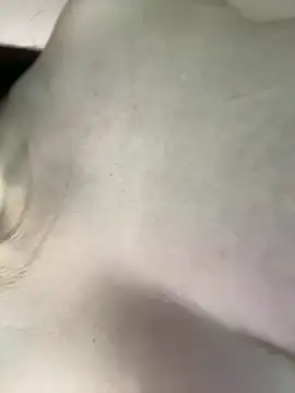 Hoot-Anime- webcam