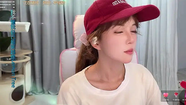 hi-AnAn webcam