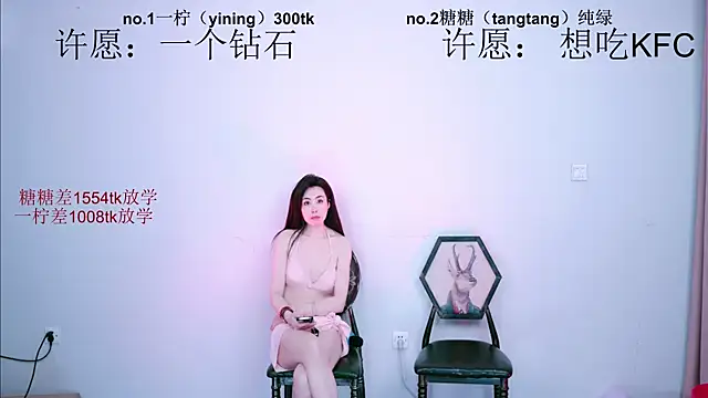 CCTW-100 webcam