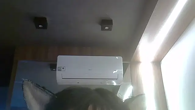 SkinnyKitten webcam