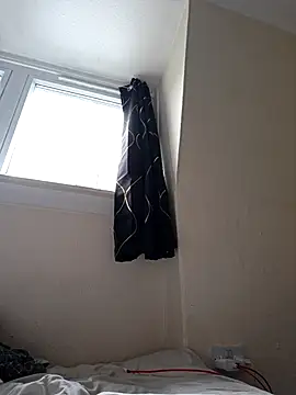 Milky_flexy_cat webcam