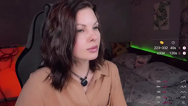 Alaska_ya webcam