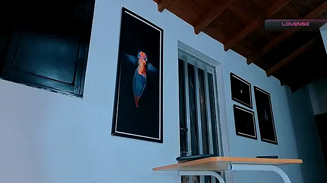 SilvaBranko webcam