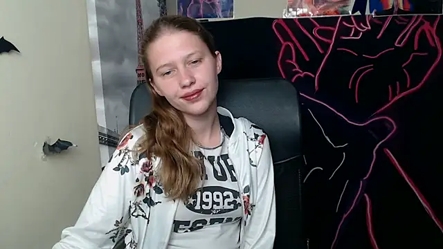 StellaCRL webcam