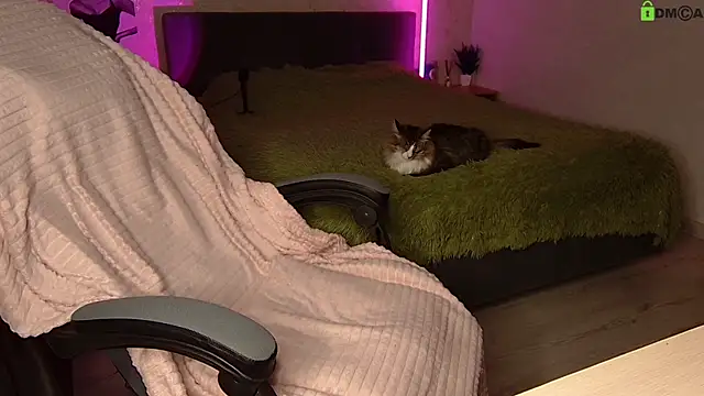 supa_dupa_fly webcam