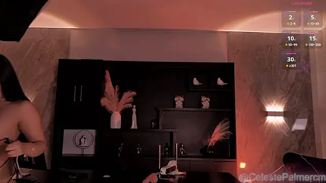 CelestePalmer_ webcam